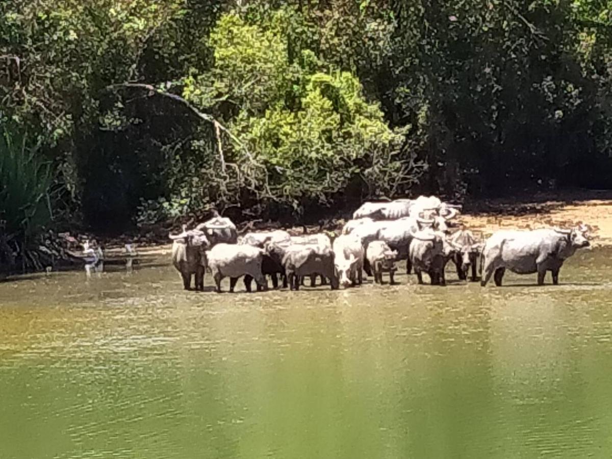 Khum Thong Resort Takuapa Zewnętrze zdjęcie