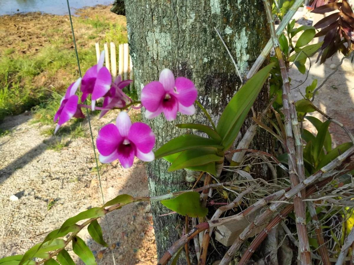 Khum Thong Resort Takuapa Zewnętrze zdjęcie
